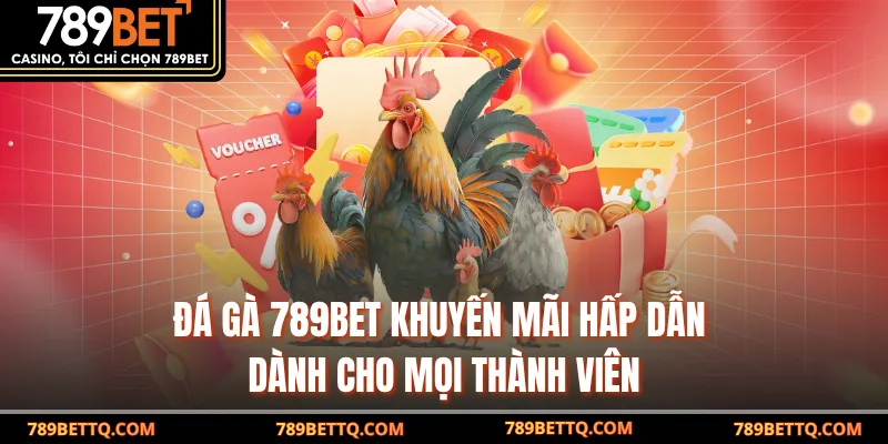 Đá Gà 789BET khuyến mãi hấp dẫn dành cho mọi thành viên