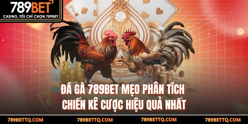 Mẹo phân tích chiến kê cược hiệu quả nhất