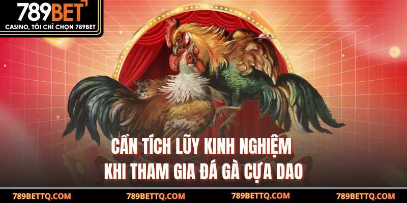 Đá Gà Cựa Dao - Trải Nghiệm Kịch Tính Tại 789BET 9 Cần tích lũy kinh nghiệm khi tham gia đá gà cựa dao