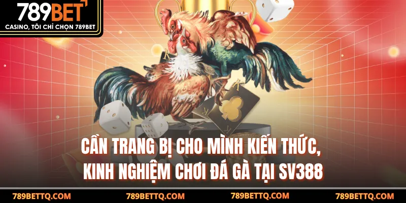 Cần trang bị cho mình kiến thức, kinh nghiệm chơi Đá gà tại SV388