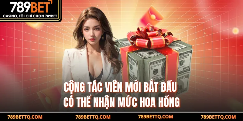 Cộng tác viên mới bắt đầu có thể nhận mức hoa hồng