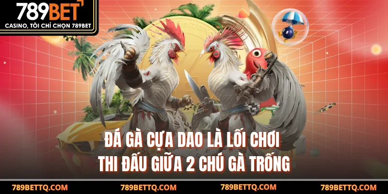 Đá Gà Cựa Dao - Trải Nghiệm Kịch Tính Tại 789BET 7 Đá gà cựa dao là lối chơi thi đấu giữa 2 chú gà trống