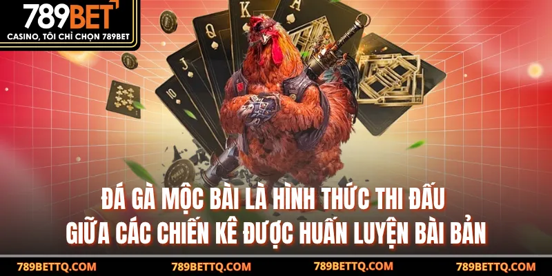 Đá Gà Mộc Bài là hình thức thi đấu giữa các chiến kê được huấn luyện bài bản