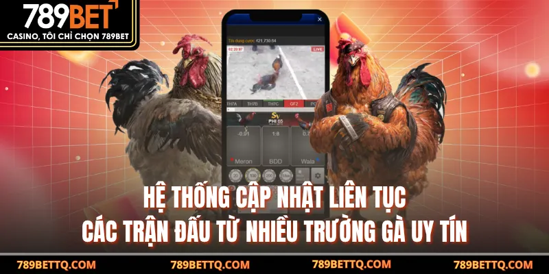  Hệ thống cập nhật liên tục các trận đấu từ nhiều trường gà uy tín